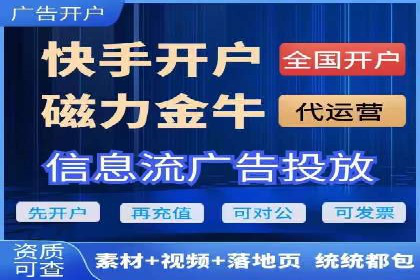 某电商平台的SEM运营实战与效果分析